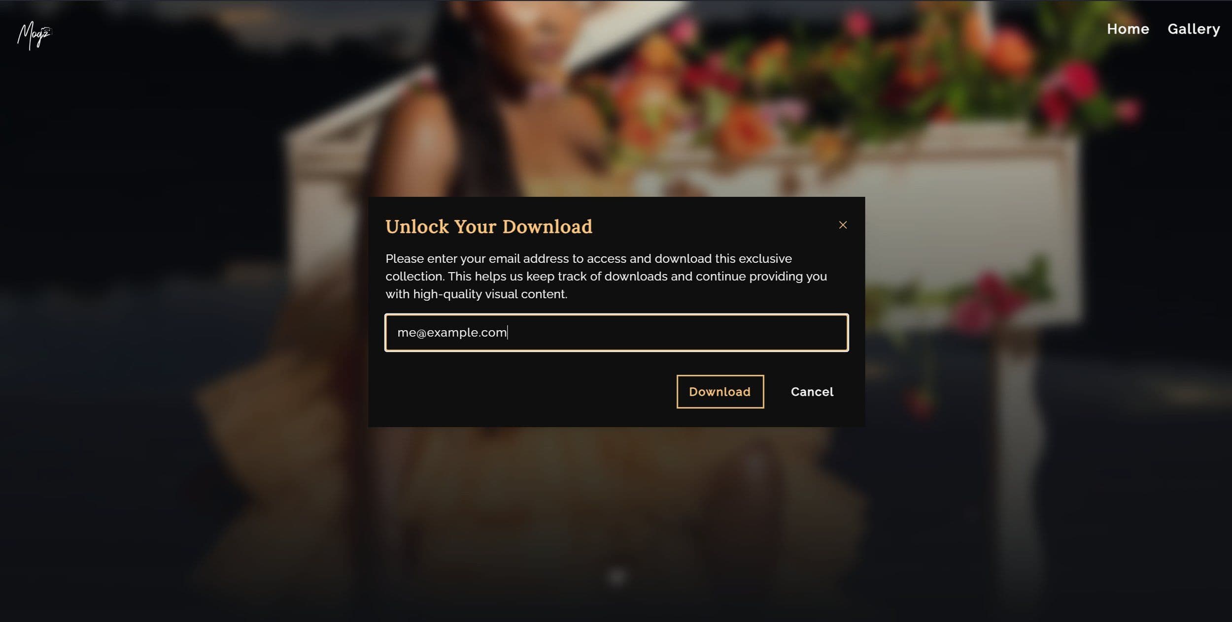 Mogz Visuals: Crafting a Digital Gallery Experience - Image(6)