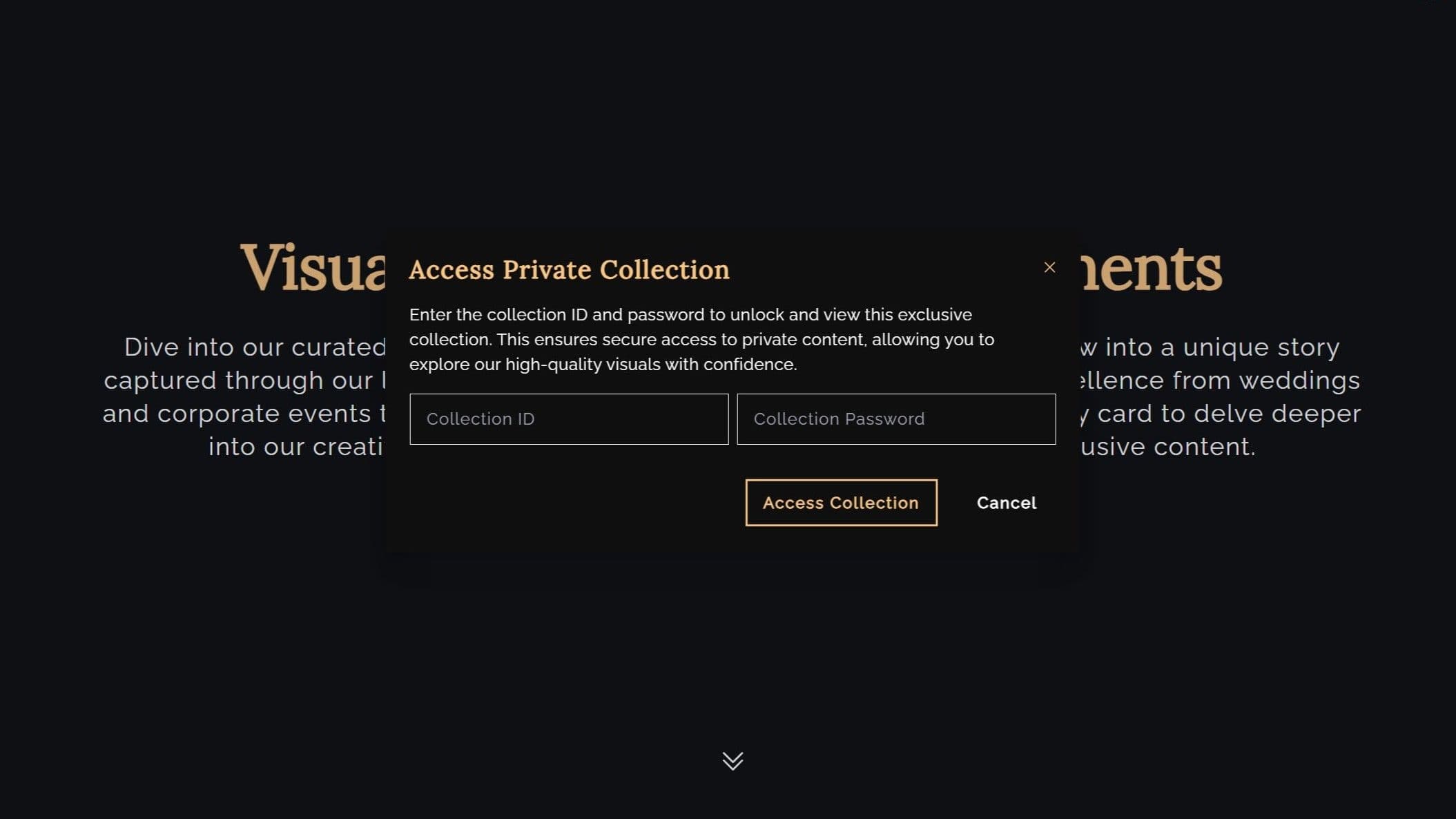 Mogz Visuals: Crafting a Digital Gallery Experience - Image(2)